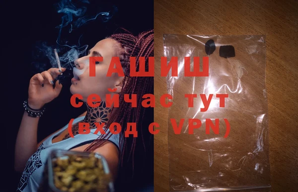 PSILOCYBIN Гусь-Хрустальный