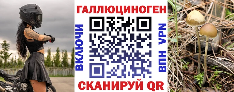 Псилоцибиновые грибы GOLDEN TEACHER  Облучье 